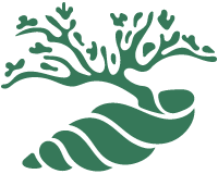 reservaconchal.com logo